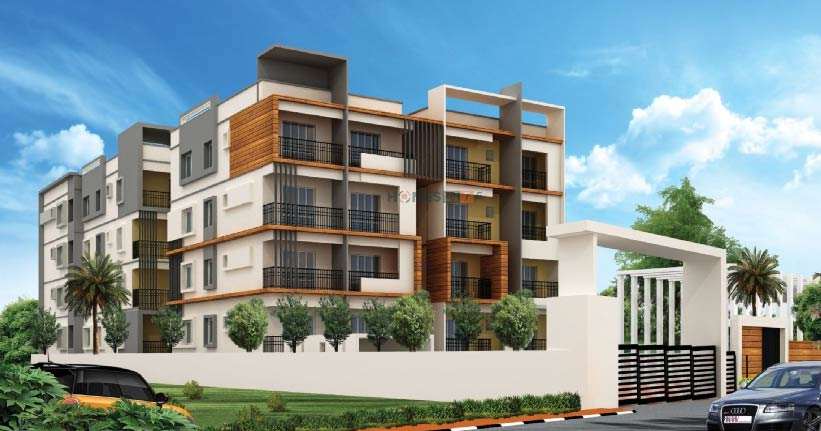 Nava Sunshine Cover Image